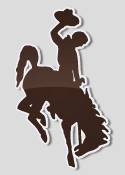 8s8w_articleGFX_WYOlogo